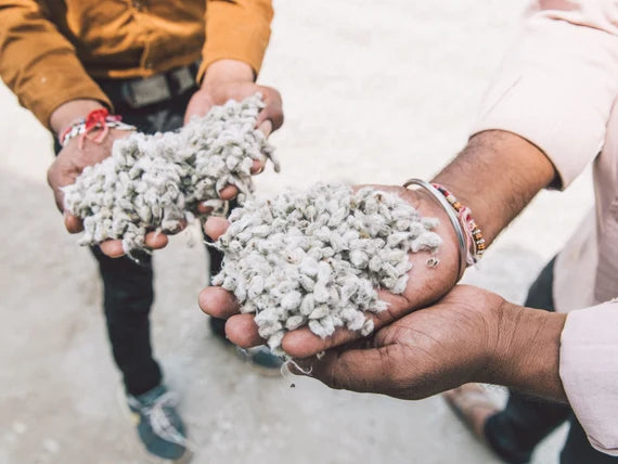 Source of Organic Cotton